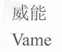 威能;VAME