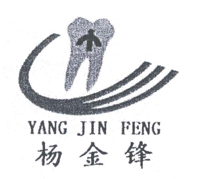 杨金峰