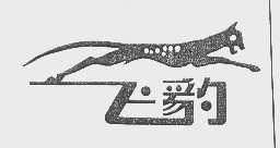飞豹