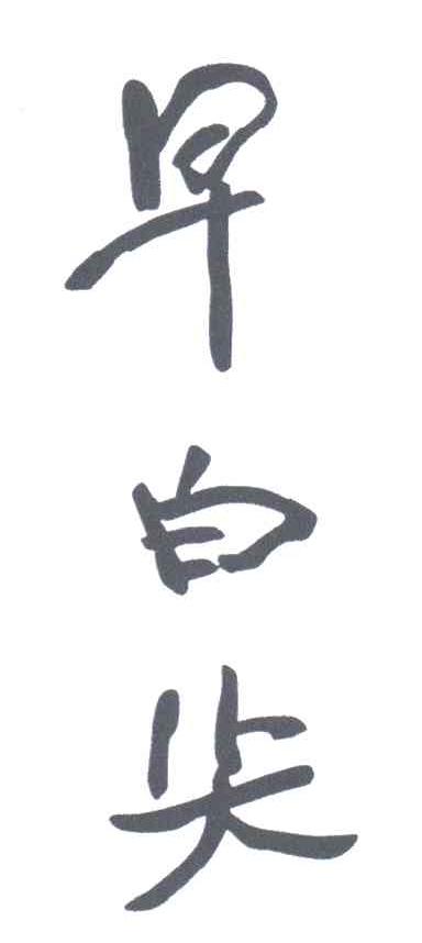 早白尖
