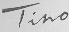 TINO