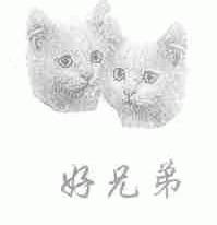 好兄弟