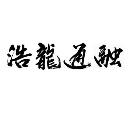 浩龙通融