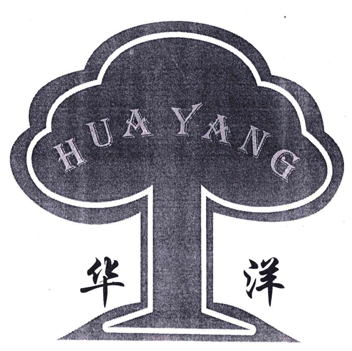 华洋