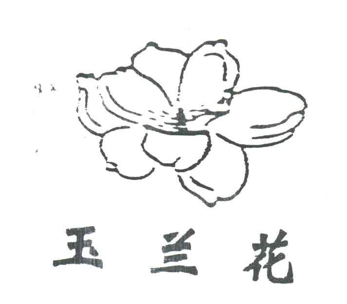 玉兰花