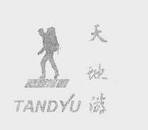 天地游   TANDYU