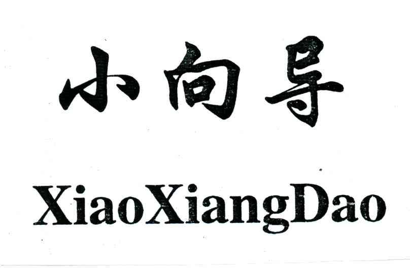 小向导