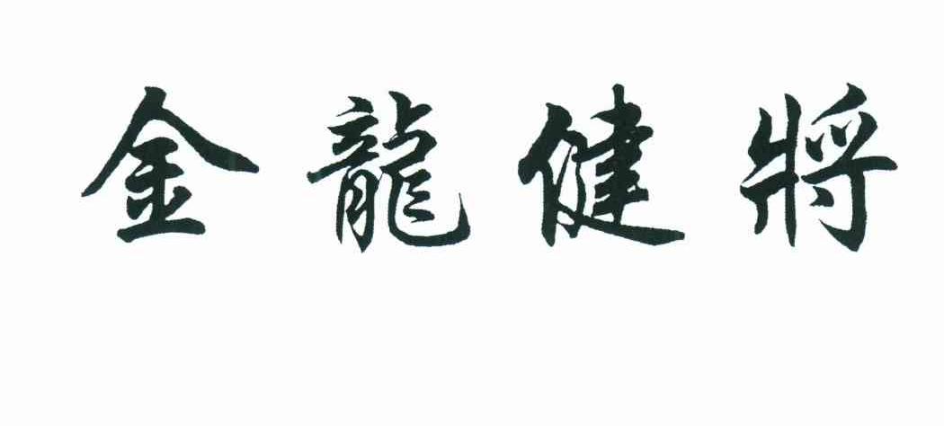金龙健将