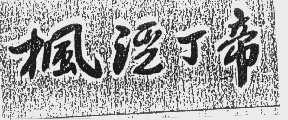 枫泾丁帝