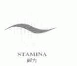 耐力;STAMINA