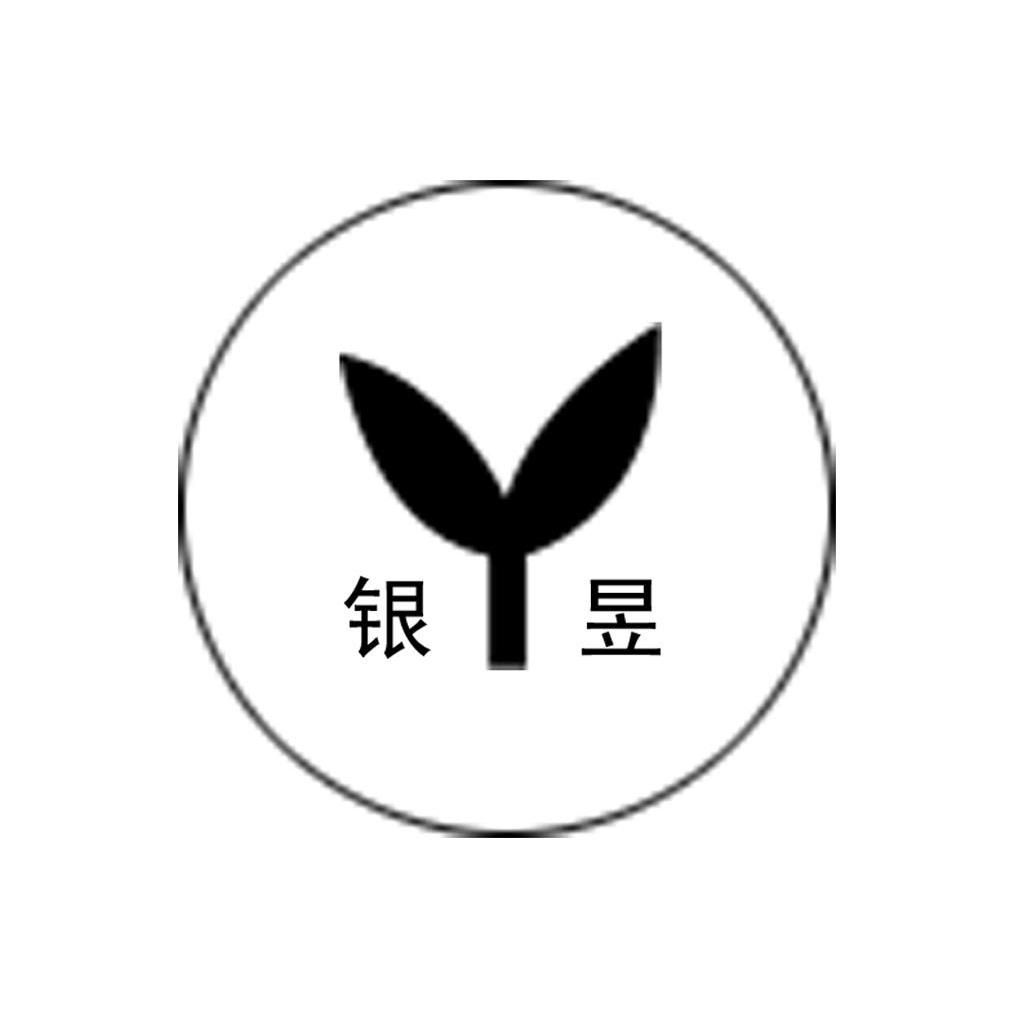 银昱 Y