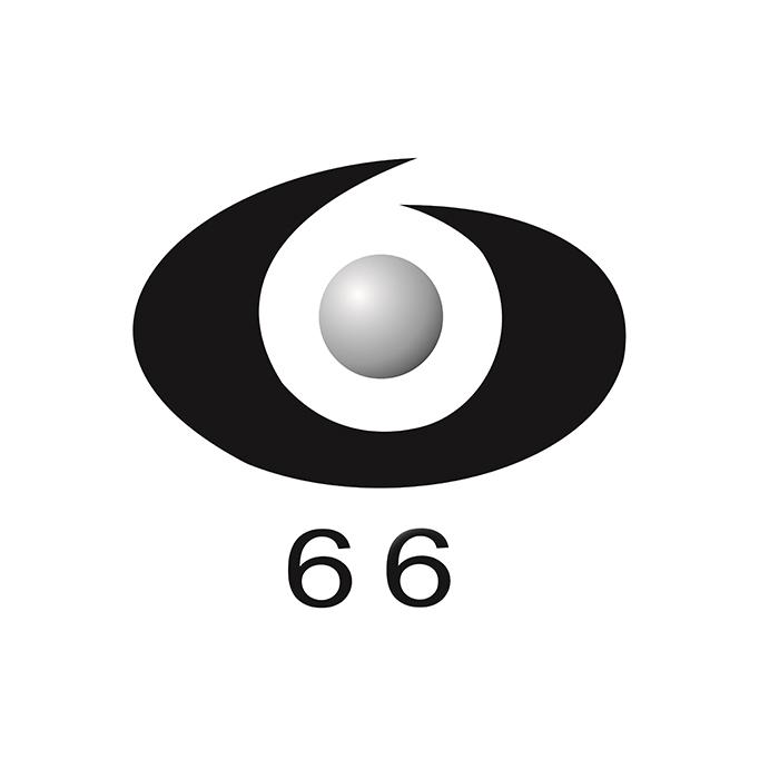 66