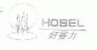 好赛力;HOSEL