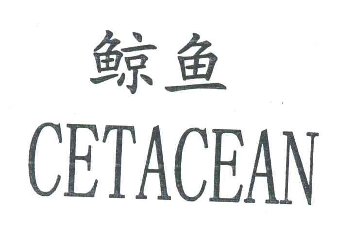 鲸鱼;CETACEAN