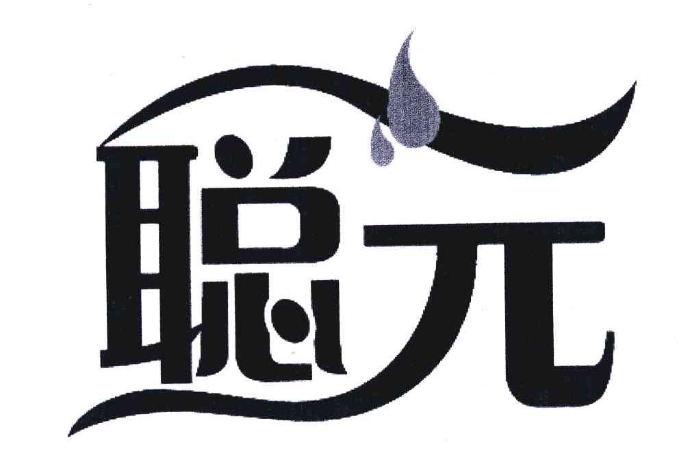 聪元