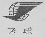 飞球