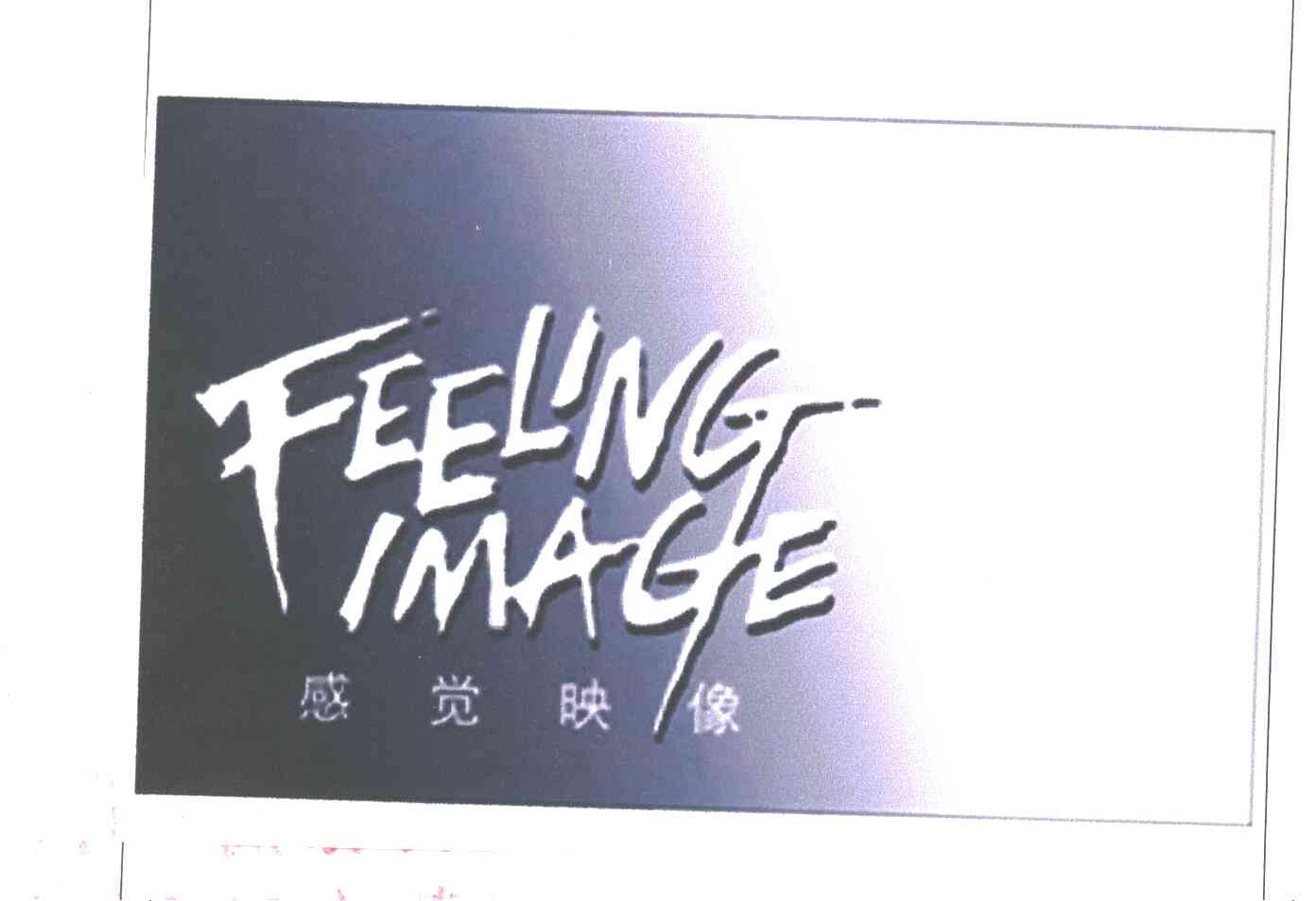 感觉映像