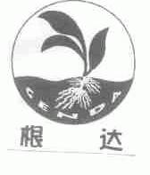 根达