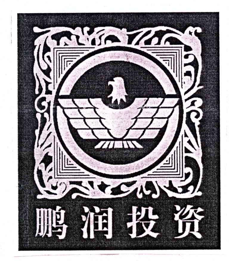 鹏润投资