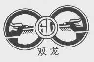双龙
