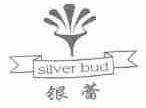银蕾;SILVER BUD