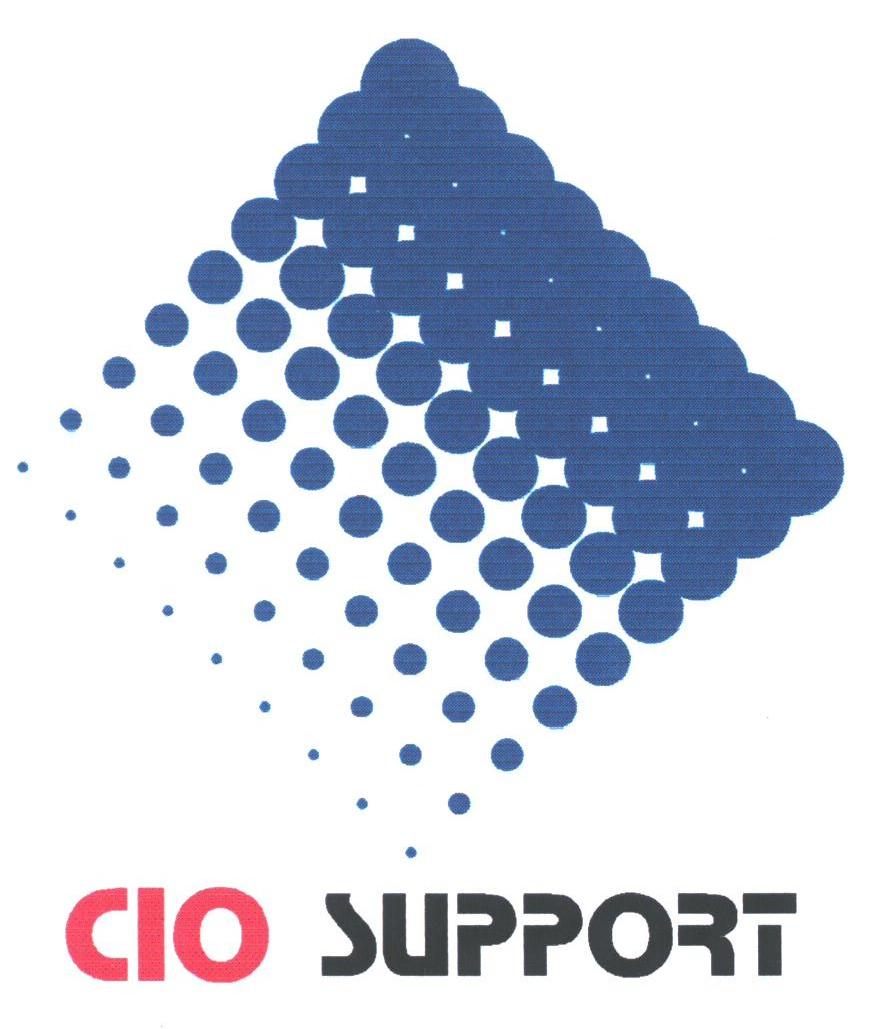 CIO SUPPORT