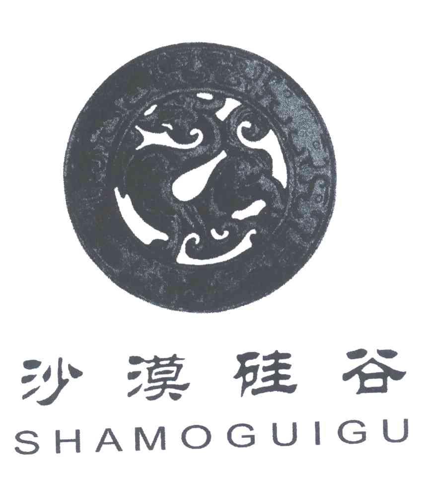 沙漠硅谷