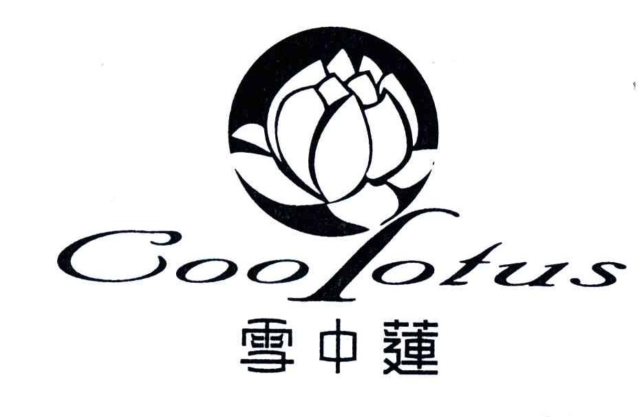 雪中莲;COOLOTUS
