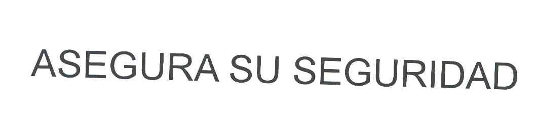 ASEGURA SU SEGURIDAD