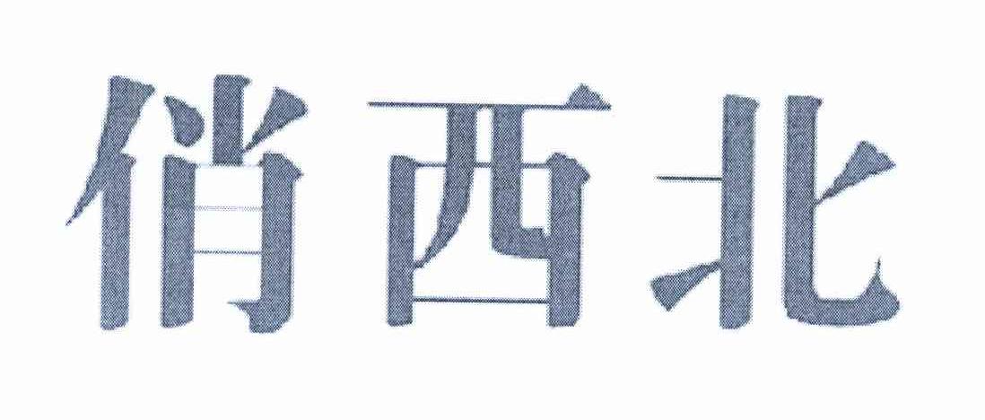 俏西北