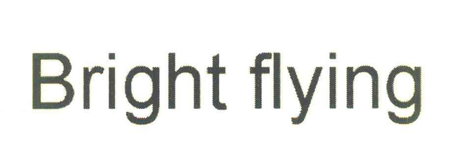 BRIGHT FLYING