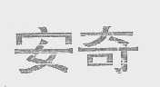 安奇