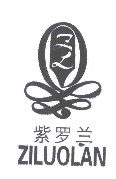紫罗兰