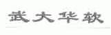 武大华软