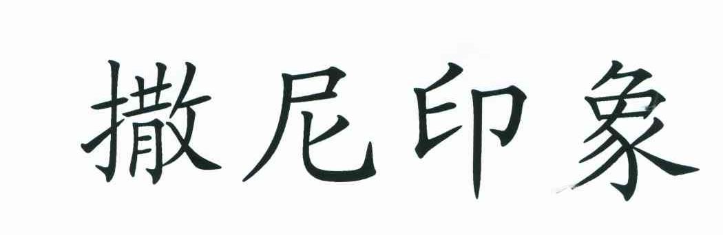 撒尼印象