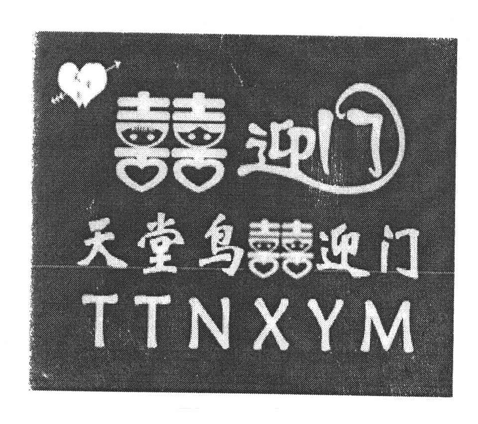 天堂鸟喜迎门  TTNXYM