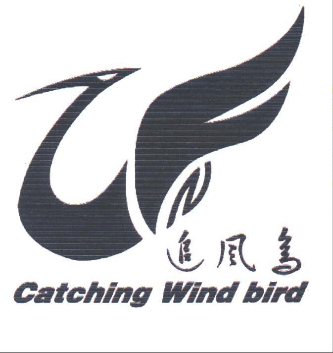 追风鸟;CATCHING WIND BIRD