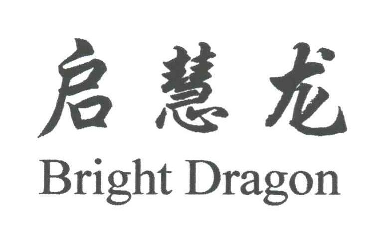 启慧龙;BRIGHT DRAGON