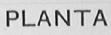PLANTA