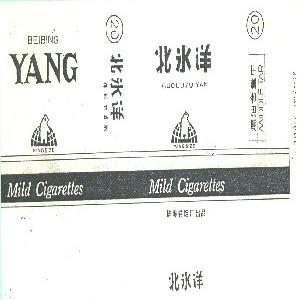 北冰洋