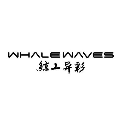 鲸工异彩 WHALEWAVES