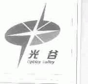 光谷;OPTICS VALLEY