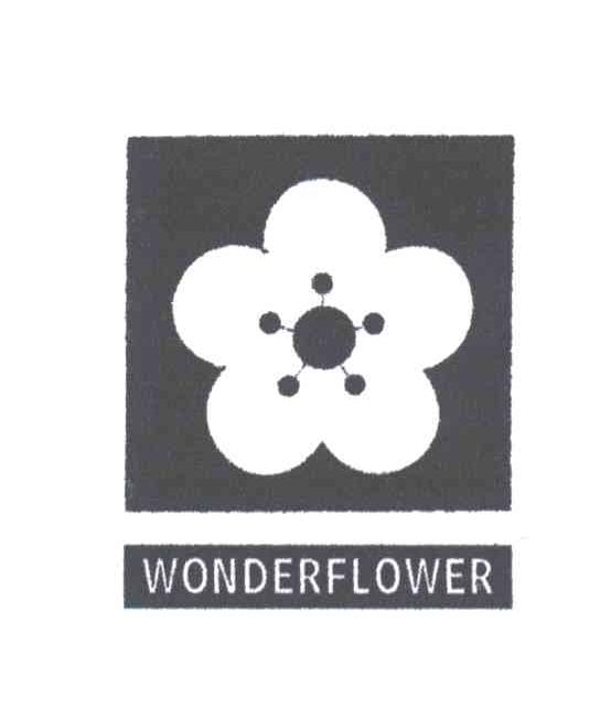 WONDERFLOWER