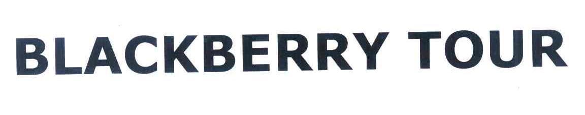BLACKBERRY TOUR