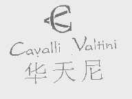 华天尼   CAVALLI VALTINI