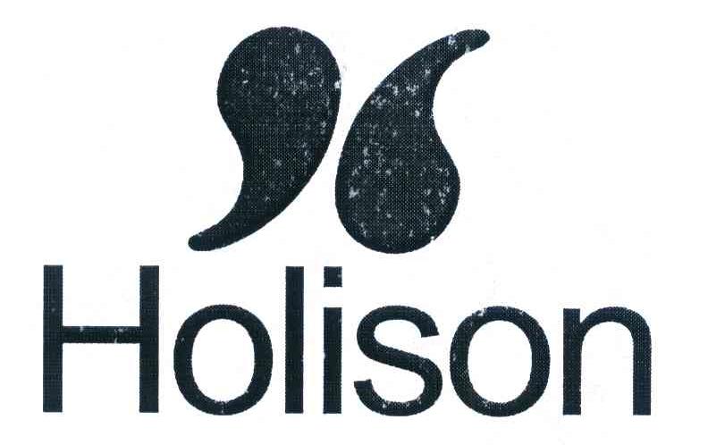 HOLISON
