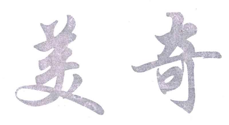 美奇