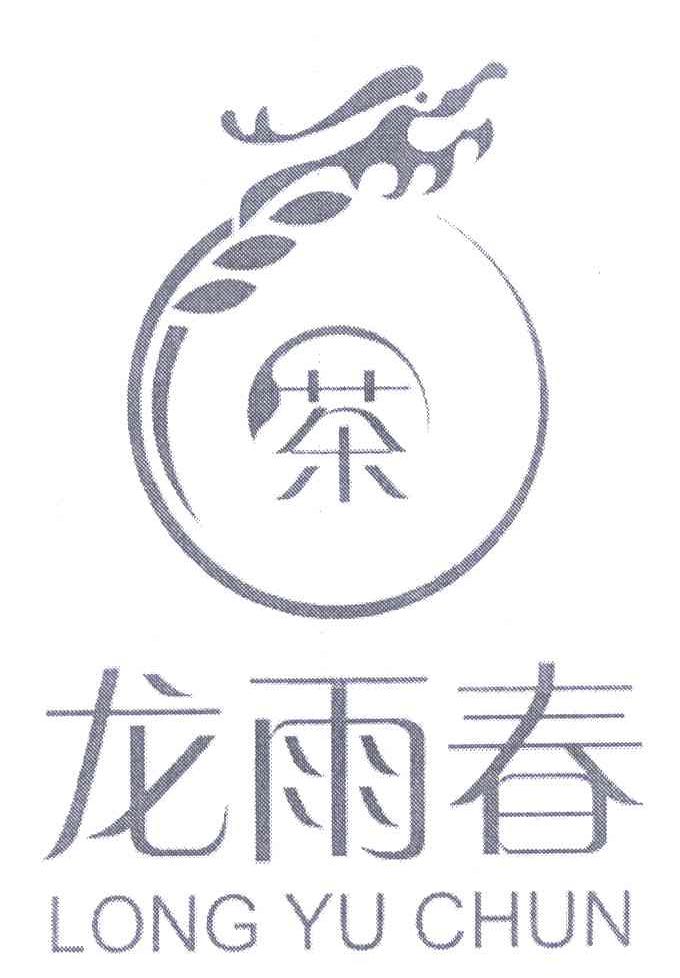 龙雨春 茶
