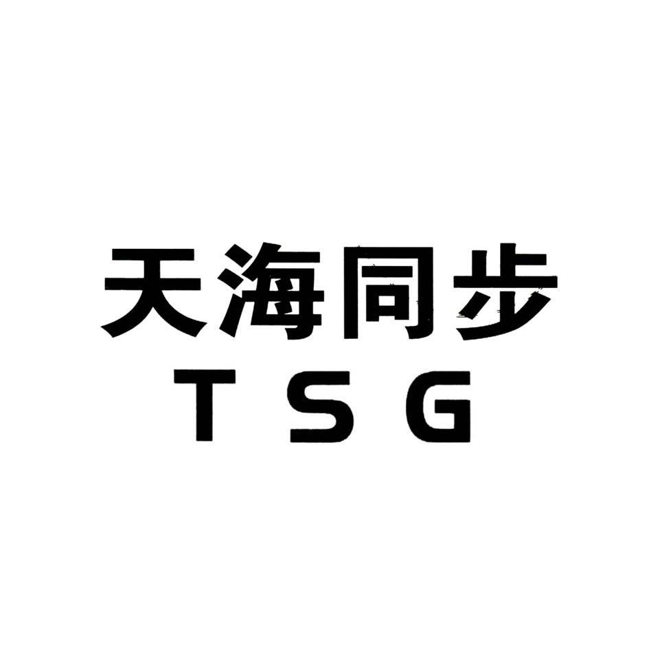 天海同步 TSG