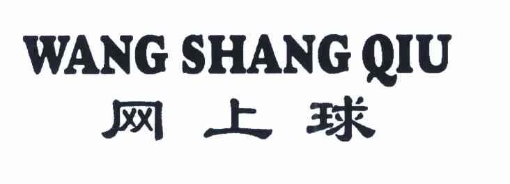 网上球